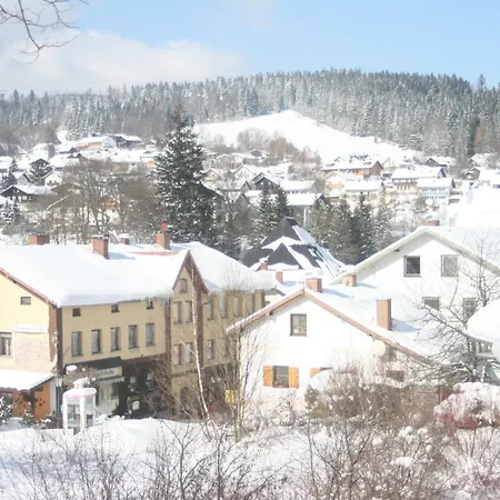 Guest house Gastehaus Am Berg 3*