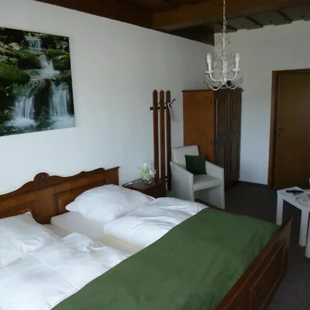 Gaestehaus Am Berg Penzion Bayerisch Eisenstein