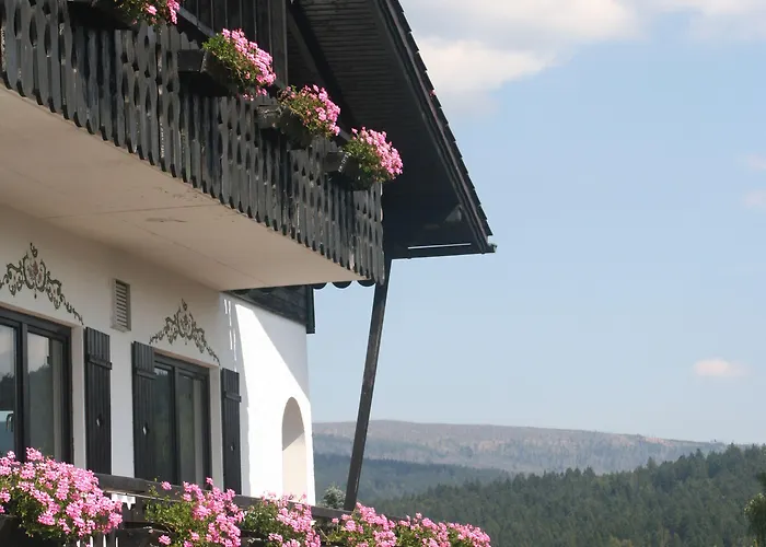 Πανσιόν Gaestehaus Am Berg Bayerisch Eisenstein